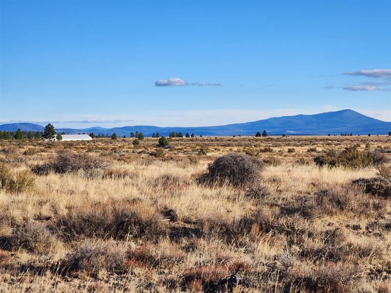 Level Lot with Legal Road Access : Chiloquin : Klamath County : Oregon