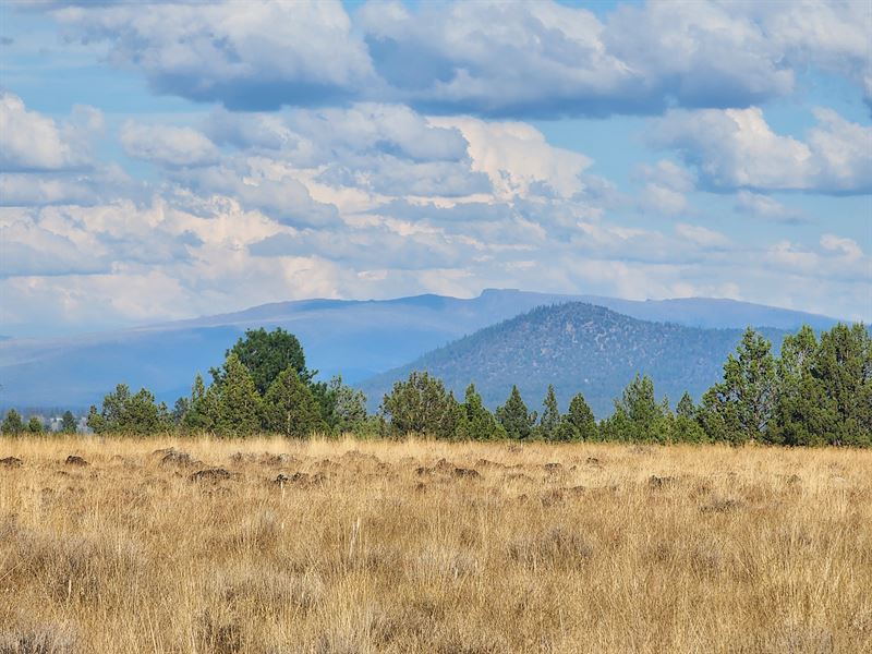 Price Drop- Now Only $26,500 : Sprague River : Klamath County : Oregon