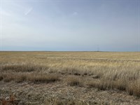 Kiowa County Crp Tract 6, 24013.1 : Haswell : Kiowa County : Colorado