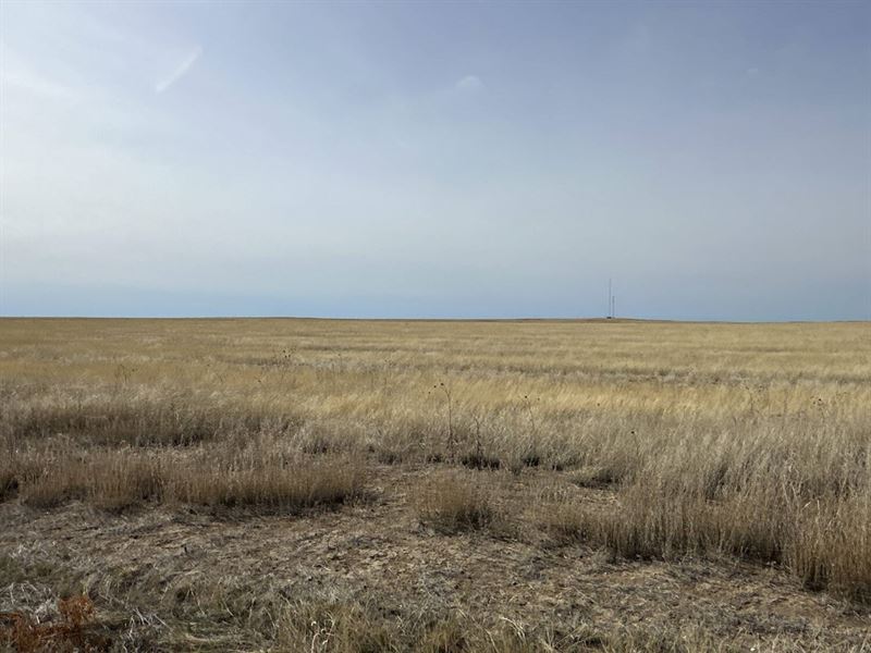 Kiowa County Crp Tract 6, 24013.1 : Haswell : Kiowa County : Colorado