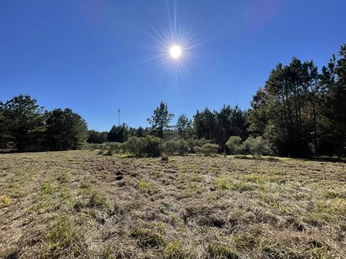 Unrestricted Homesite in Texas : Livingston : Polk County : Texas