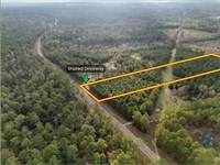 Unrestricted Homesite in Texas : Livingston : Polk County : Texas