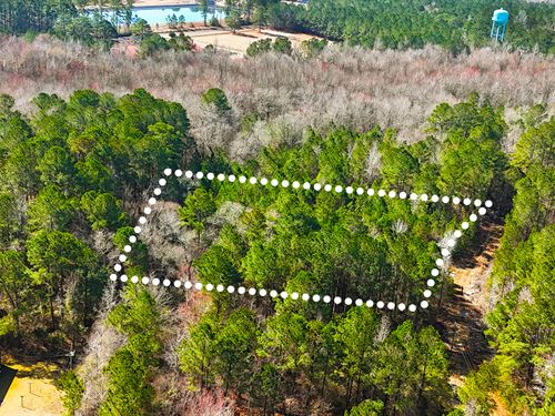 No HOA, Shaded Lot, Owner Financing : Maple Hill : Pender County : North Carolina