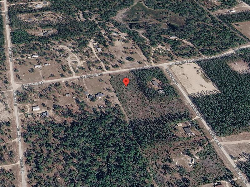 Mobile/Modular Allowed : Perry : Taylor County : Florida