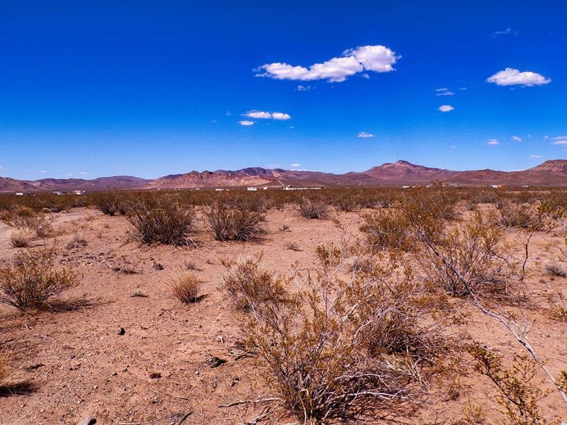 Stop Renting Campsites Own 1.07 Ac : Dolan Springs : Mohave County : Arizona