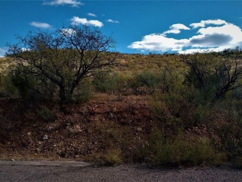 Good Clean Fun in The Dirt : Rio Rico : Santa Cruz County : Arizona