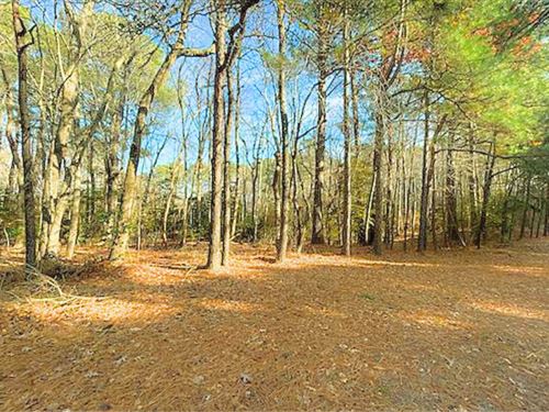 Peaceful Retreat in Exmore, VA : Exmore : Northampton County : Virginia