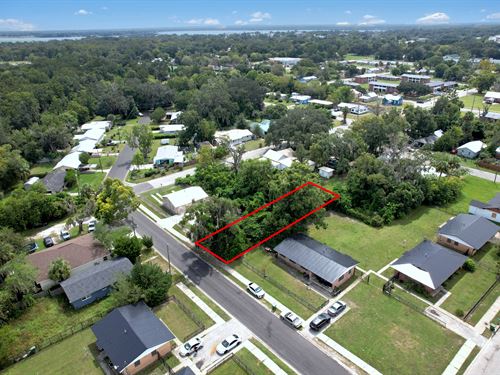 Paved Roads and Electric Nearby : Palatka : Putnam County : Florida