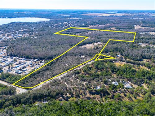 Haines City Recreational/Transition : Haines City : Polk County : Florida