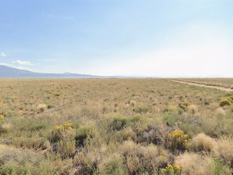 Own 4.98 Acres on Your Terms Owner : Blanca : Costilla County : Colorado