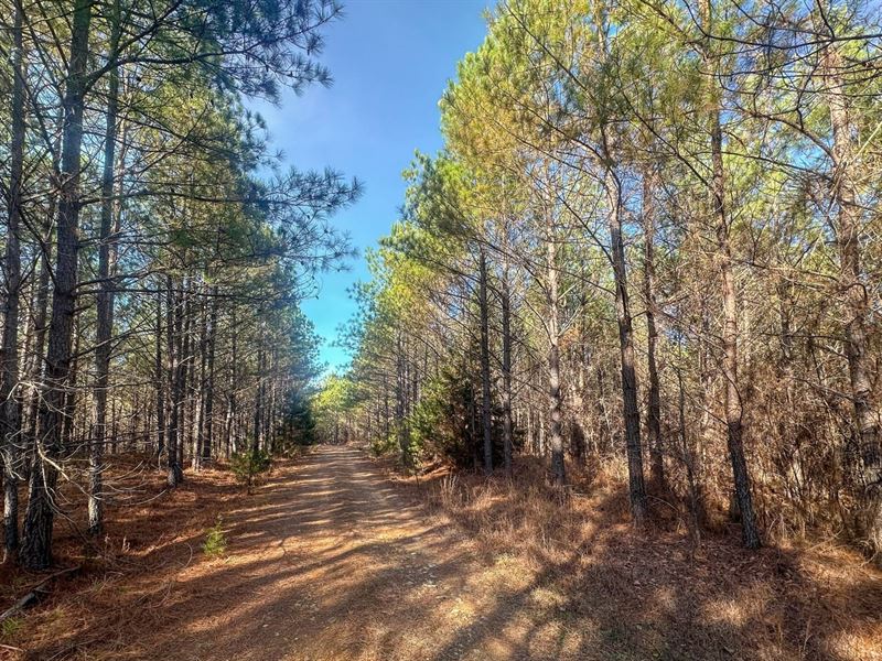 Highway 412 N Tract 1 : Hohenwald : Lewis County : Tennessee