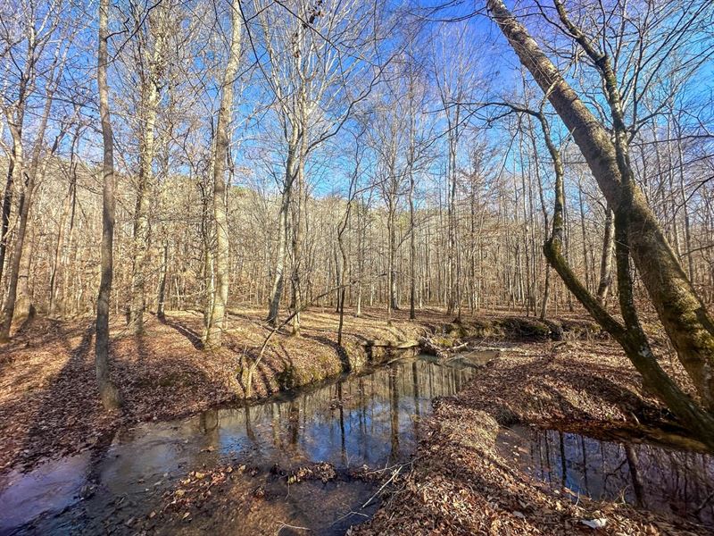 Indian Creek Retreat : Hohenwald : Lewis County : Tennessee