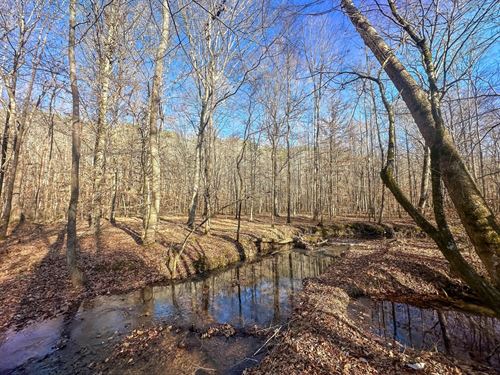 Indian Creek Retreat : Hohenwald : Lewis County : Tennessee