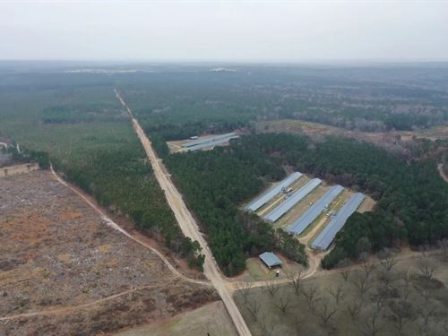 Broken Arrow Farm : Hartsville : Chesterfield County : South Carolina