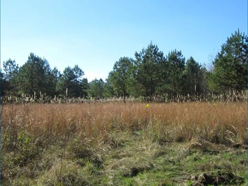 22.67 Acres Tract 1 in Tippah Cou : Walnut : Tippah County : Mississippi