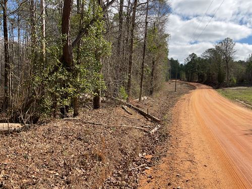 Vickery Road Tract-9 Acres : Greenville : Butler County : Alabama