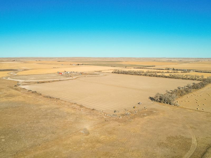Neilan Irrigated Farm : Minatare : Scotts Bluff County : Nebraska