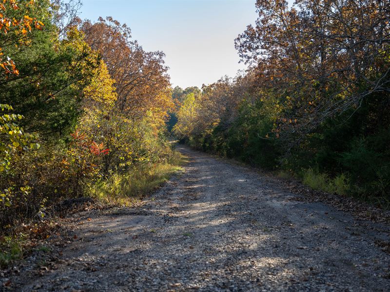 .35 Acres Near Crown Lake, AR : Horseshoe Bend : Izard County : Arkansas