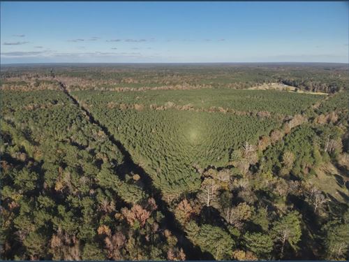 38 Acres Lot 2 in Madison County : Canton : Madison County : Mississippi