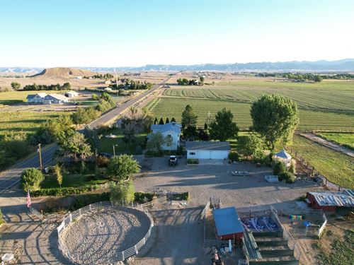 Fruita, CO Country Home on Irrigate : Fruita : Mesa County : Colorado