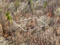 Wooded Lot, Quiet, Owner Financing : Lavonia : Franklin County : Georgia
