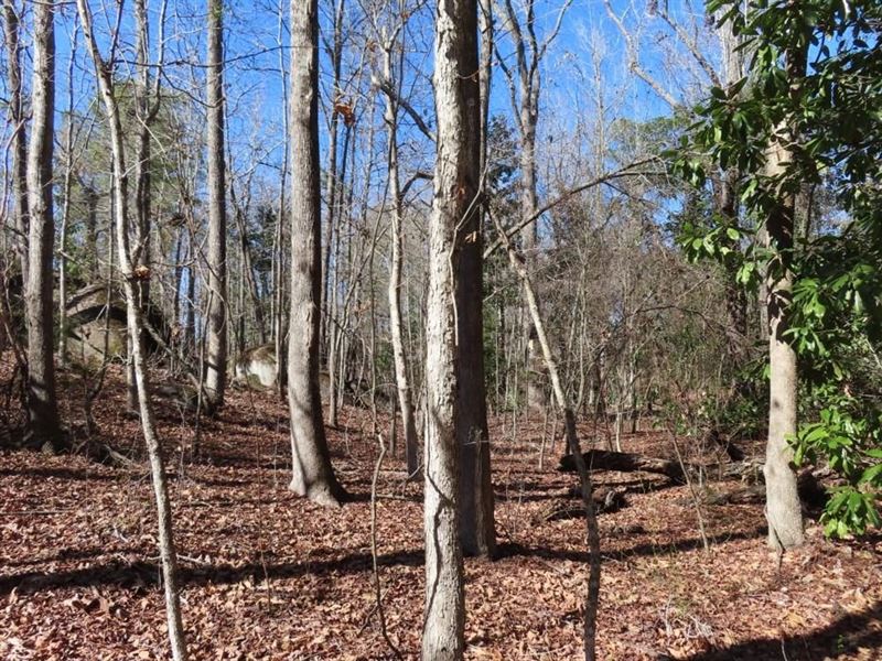 Rion Tract : Winnsboro : Fairfield County : South Carolina