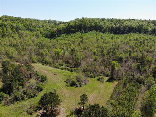 Garden City 110 : Hayden : Blount County : Alabama