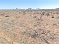 Wide Skies, Quiet Acre : Sunizona : Cochise County : Arizona