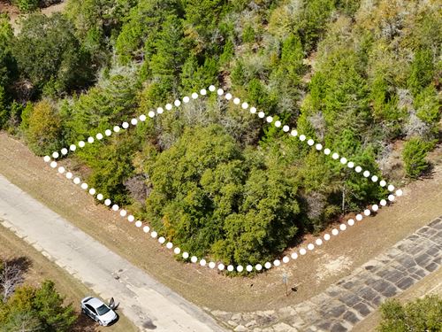 Corner Wooded Lot, No HOA, $1 Down : Chipley : Washington County : Florida