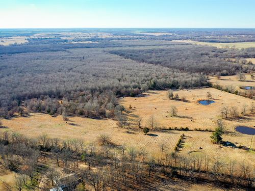 Hunting & Recreational Land, NE TX : Detroit : Red River County : Texas