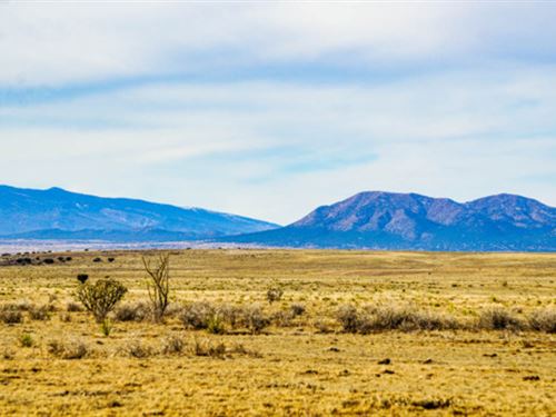 The Beauty of Moriaty, New Mexico : Moriarty : Torrance County : New Mexico