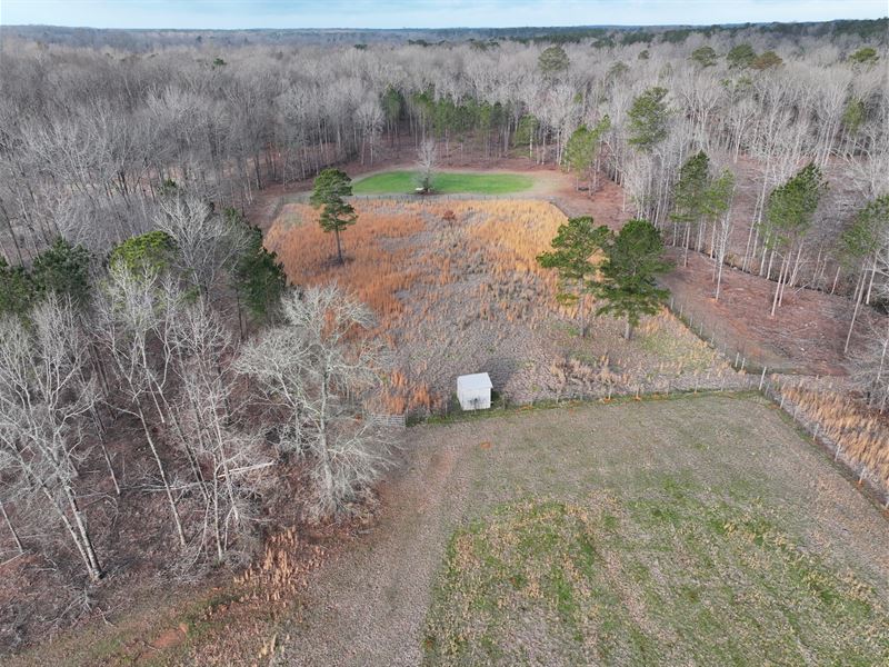 Stewart Farm Rd. 46 Acres : Gray : Jones County : Georgia