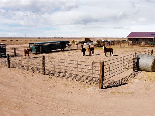 Nunn Hobby Farm : Nunn : Weld County : Colorado
