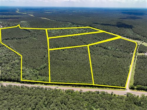 46 Acres, T-2, 4 & 5, Hunters Hil : Oakhurst : San Jacinto County : Texas