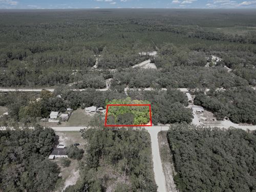 Two Parcels, One Decision : Interlachen : Putnam County : Florida