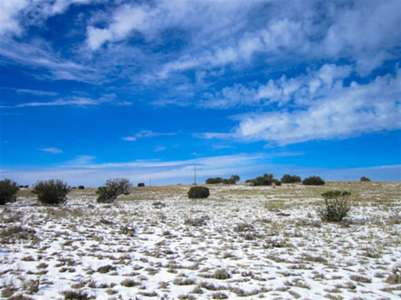 Own 4.63 Acres of Pure AZ Beauty : Sanders : Apache County : Arizona