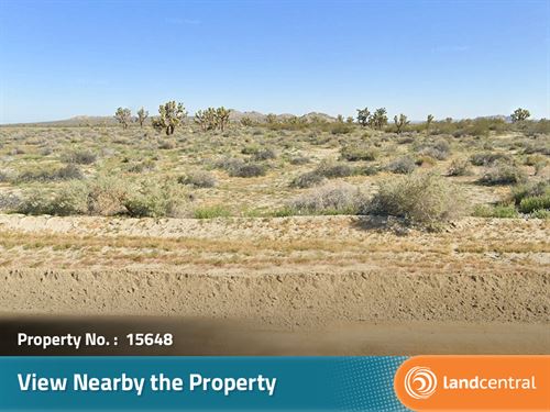 Gorgeous 1.28 Acre CA Desert Land : Los Angeles : California
