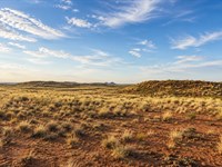 5 Acres in Arizona, Only $150 Down : Sun Valley : Navajo County : Arizona