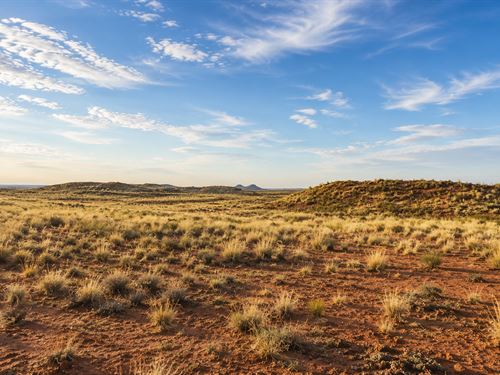 5 Acres in Arizona, Only $150 Down : Sun Valley : Navajo County : Arizona
