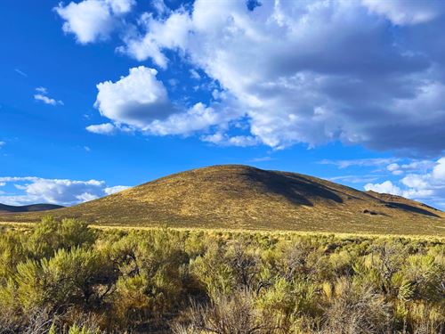 1.13 Acres Elko NV $6,395 : Spring Creek : Elko County : Nevada