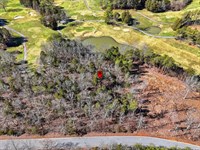 Golf Course Lot-Norris Lake Access : Tazewell : Claiborne County : Tennessee