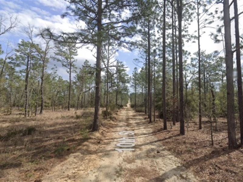 Don't Let This Dream Slip Away : Interlachen : Putnam County : Florida