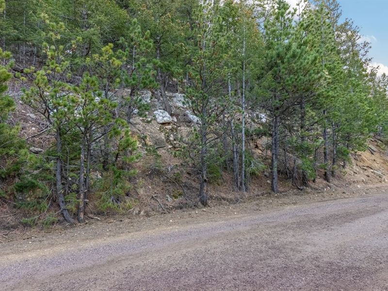 Upper Moss Rock Rd, Golden, CO : Golden : Jefferson County : Colorado