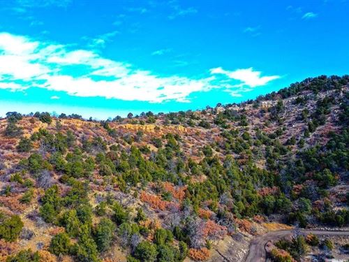 Lot 14 Fishers Peak Ranch, Trinidad : Trinidad : Las Animas County : Colorado