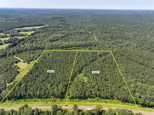 13 Acres, T-2, Highway 87, 1001 : Milam : Sabine County : Texas