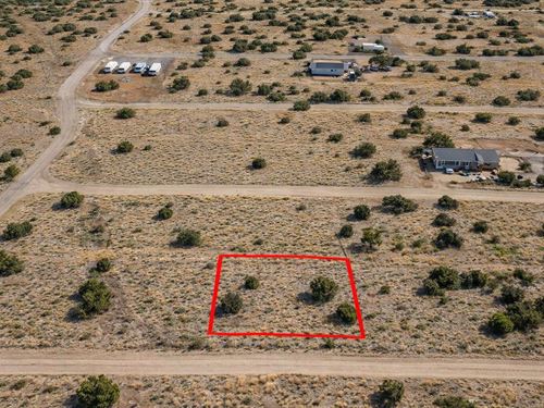 .24 Acre Apache County Gem : Concho : Apache County : Arizona