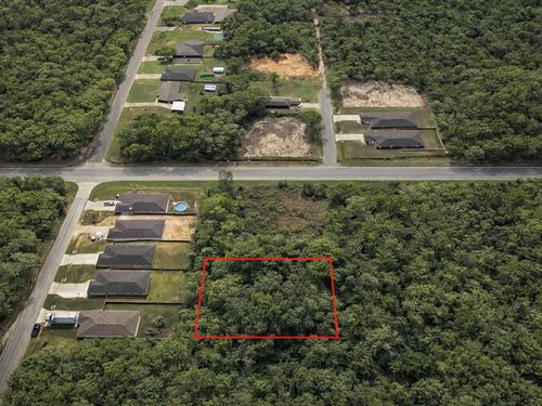 .32 Acre in Milton, $450/Mo : Milton : Santa Rosa County : Florida
