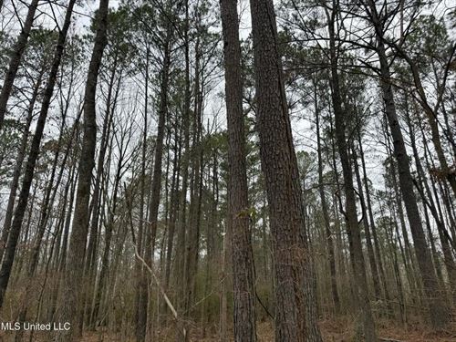 Residential Lot For Sale in Pearl : Pearl : Rankin County : Mississippi