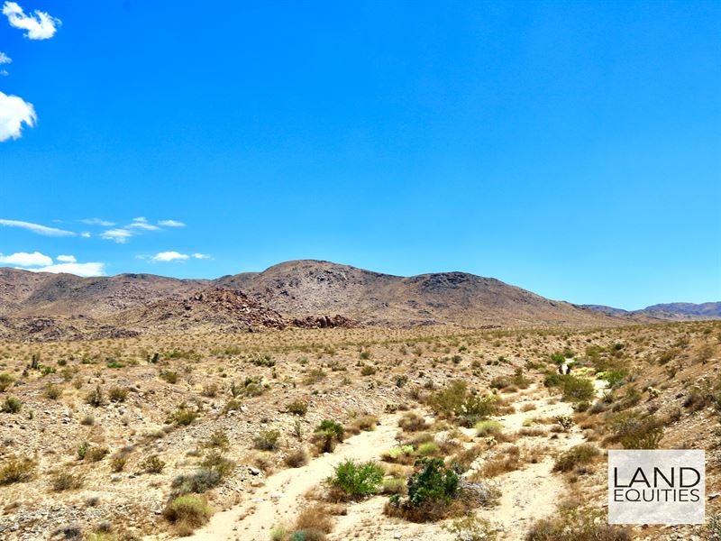 By Joshua Tree Nat Park Entrance : Twentynine Palms : San Bernardino County : California