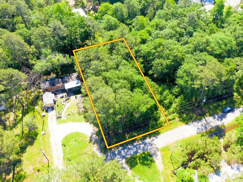 .26 Acres Tx, Lake Access Land : Trinity : Trinity County : Texas